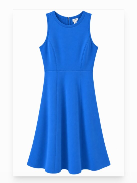 LOFT Dresses & Skirts - LOFT Sleeveless Fit & Flare Dress - Women’s 4 Petite